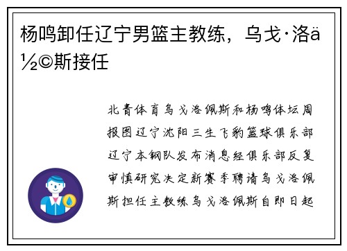 杨鸣卸任辽宁男篮主教练，乌戈·洛佩斯接任